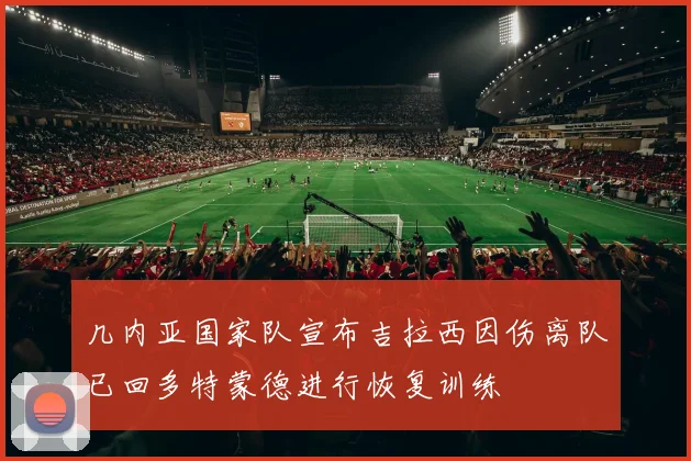 几内亚国家队宣布吉拉西因伤离队已回多特蒙德进行恢复训练