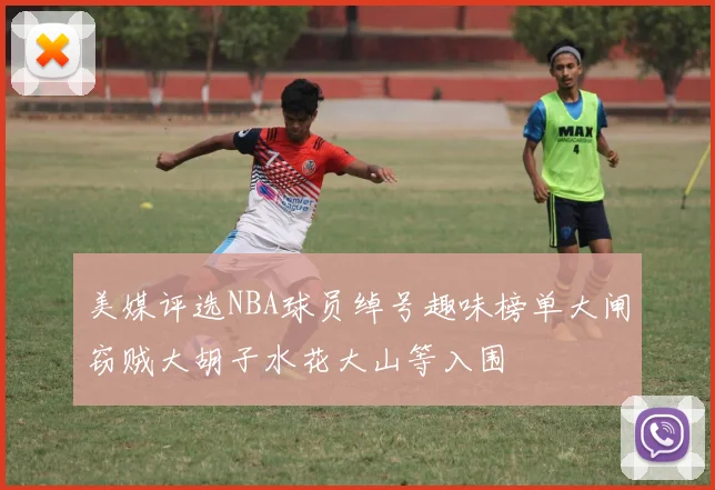 美媒评选NBA球员绰号趣味榜单大闸窃贼大胡子水花大山等入围