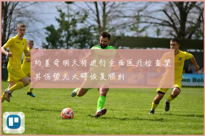 约基奇明天将进行全面医疗检查望其伤势无大碍恢复顺利