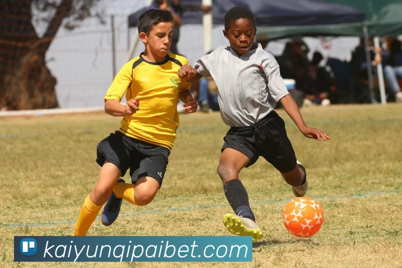 开云棋牌APP 封面图